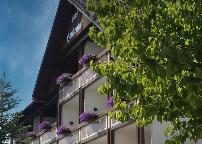 Landhotel Henkenhof Willingen